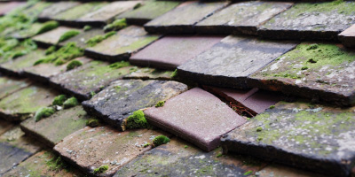 Croxton Kerrial roof repair costs